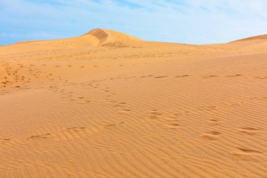 Uçsuz bucaksız çöl manzarası. Mavi gökyüzünün altında uzanan yuvarlanan kum tepeleri. Belirgin kum tepeleri. İnce dalgalar ve dağınık ayak izleriyle kum, dokunulmamış doğayı vurguluyor.