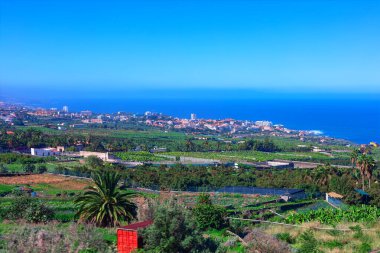 Tenerife kıyısındaki Puerto de la Cruz 'un manzarası, önde yemyeşil tarlalar ve palmiye ağaçları, kıyı şeridi boyunca yayılan kasabaya götürüyor. Mavi okyanus gökyüzünün altında ufka kadar uzanıyor.