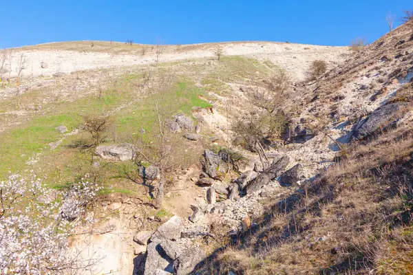 Rocky Vadisi yamaçtan geçer, toprak ve taş katmanlarını ortaya çıkarır. Manzara, kaya ve toprak karışımından oluşan jeolojik bir oluşum ortaya çıkarıyor.