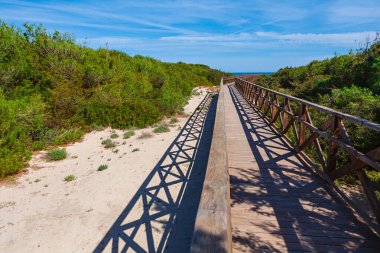 Tahta tahta kaldırım kumlu kıyı bölgesinde uzanır ve manzaralı yollar sunar. Sahil yolu, sakin bir gezinti için mükemmel. Tahta köprü, kum tepelerinin üzerinden Mallorca 'daki Alcudia Körfezi' ne çıkıyor.