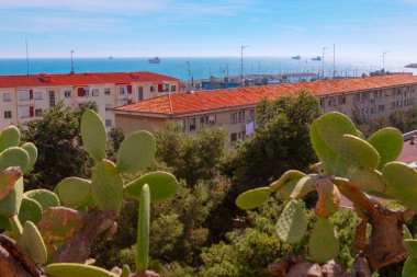 Akdeniz manzaralı Tarragona, İspanya, ön planda dikenli armut kaktüsü, kırmızı kiremitli çatılar, ve güneşli bir gökyüzünün altında mavi denizde kargo gemileri. Güney Avrupa kıyı cazibesi