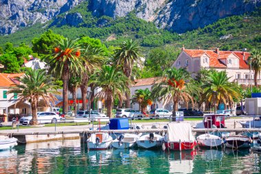 Hırvatistan 'ın Hırvatistan kentindeki Picturesque Picturesque Makarska kasabası, renkli tekneler ve temiz su yansıtan manzaralı sakin liman. Palmiye ağaçları, fayanslı çatıları olan büyüleyici evler ve engebeli dağlar muhteşem bir zemin oluşturur.