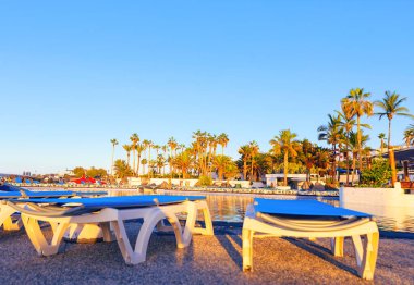 Bereketli palmiye ağaçlarıyla çevrili sakin bir havuzun kenarında dinlenen güneşlenmeler. Rahat mavi güneşli yatakları olan bir tatil yeri. Rahatlatıcı bir gün için mükemmel.