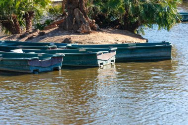 Küçük bir adanın yakınındaki sakin bir su yolunda huzur içinde dinlenen kayıklar. Durgun su, birkaç ahşap kayığın kenetlendiği küçük adayı çevreleyen yemyeşil suları yansıtır.