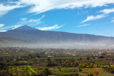 Tenerife 'nin göz kamaştırıcı manzarası. Görkemli Teide Dağı gökyüzünün altında, yemyeşil vadiden yükselen dağınık bulutlarla. Önde yeşil tarlalar ve dağınık evler var, kırsal alan yaratıyor
