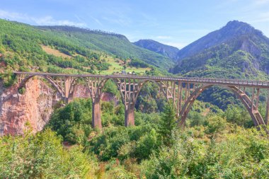 Curdjevica Tara Köprüsü Karadağ 'daki Tara Nehri' nin derin kanyonunu kaplayarak, nefes kesici doğal manzaranın ortasında etkileyici bir mühendislik harikası oluşturuyor. Kemerli köprü, yemyeşil tepelerle çevrili nehrin üzerinde yüksekte duruyor.