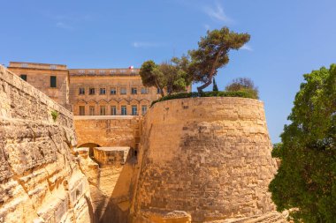Kadim taş tahkimatları mavi gökyüzü altında yükselir. Sıcak tonları güneş ışığında parlar. Gnarled ağaçlar kaleye taç takıyor, Valletta şehrinin görkemli duvarlarına hayat katıyor.