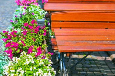 Pembe ve beyaz petunyalı canlı çiçek kutusu ahşap bir bankın yanında oturur. Sahne bir parke taşlı verandaya kurulmuş. Açık bir kafeye benziyor.