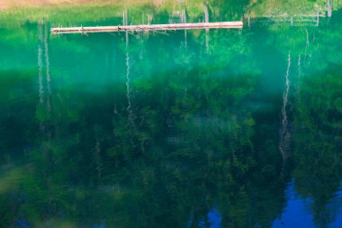 Berrak turkuaz su yemyeşil ağaçları ve devrilmiş ahşap kütükleri yansıtarak sakin ve doğal bir manzara yaratır. Canlı renkler ve sakin bir yüzey huzur ve el değmemiş bir güzelliği çağrıştırıyor.