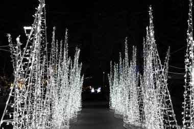Beyaz LED tatil ışıklarıyla kaplı parlak patika gece gökyüzüne karşı büyülü, şenlikli bir atmosfer yaratıyor. Aydınlatılmış ağaçlar, kış kutlamaları ve etkinlikleri için mükemmel bir tünel oluşturur.