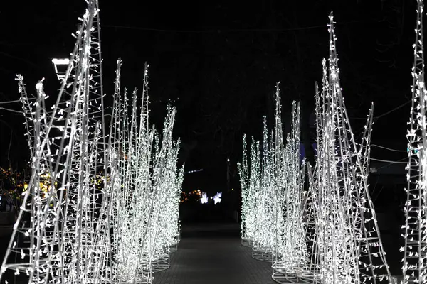 Beyaz LED tatil ışıklarıyla kaplı parlak patika gece gökyüzüne karşı büyülü, şenlikli bir atmosfer yaratıyor. Aydınlatılmış ağaçlar, kış kutlamaları ve etkinlikleri için mükemmel bir tünel oluşturur.