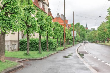Norveç 'in Oslo kentindeki büyüleyici sokak manzarası, sıralanmış yeşil ağaçlar, kırmızı çatıları olan geleneksel evler ve yağmurdan sonra yansıyan ıslak kaldırımları gösteriyor. Huzurlu şehir manzarası mimariyle doğayı harmanlıyor.