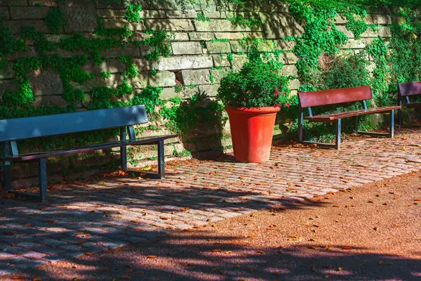 Ahşap park bankları kısmen sarmaşıkla kaplı duvara dayanıyor. Bitkiler yemyeşil ve kırmızı çiçeklerle dolup taşarken çapa sahneleri, dağınık sonbahar yaprakları ise mevsimsel nostaljinin hafif dokunuşlarını ekliyor.