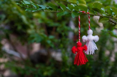 Traditional Martisor on green tree branch - symbol of 1 March, Martenitsa, Baba Marta, beginning of spring and seasons changing in Romania, Bulgaria, Moldova. Greeting and post card for holidays.