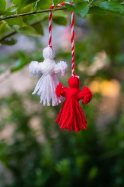 Traditional Martisor on green tree branch - symbol of 1 March, Martenitsa, Baba Marta, beginning of spring and seasons changing in Romania, Bulgaria, Moldova. Greeting and post card for holidays.
