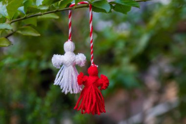 Traditional Martisor on green tree branch - symbol of 1 March, Martenitsa, Baba Marta, beginning of spring and seasons changing in Romania, Bulgaria, Moldova. Greeting and post card for holidays.