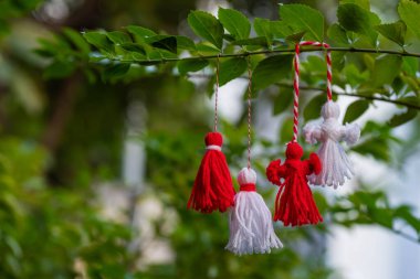 Traditional Martisor on green tree branch - symbol of 1 March, Martenitsa, Baba Marta, beginning of spring and seasons changing in Romania, Bulgaria, Moldova. Greeting and post card for holidays.
