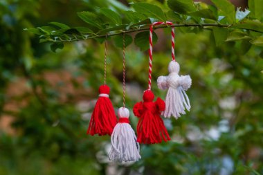 Traditional Martisor on green tree branch - symbol of 1 March, Martenitsa, Baba Marta, beginning of spring and seasons changing in Romania, Bulgaria, Moldova. Greeting and post card for holidays.