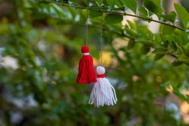 Traditional Martisor on green tree branch - symbol of 1 March, Martenitsa, Baba Marta, beginning of spring and seasons changing in Romania, Bulgaria, Moldova. Greeting and post card for holidays.