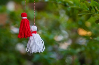Traditional Martisor on green tree branch - symbol of 1 March, Martenitsa, Baba Marta, beginning of spring and seasons changing in Romania, Bulgaria, Moldova. Greeting and post card for holidays.