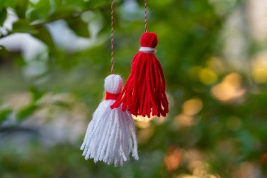 Traditional Martisor on green tree branch - symbol of 1 March, Martenitsa, Baba Marta, beginning of spring and seasons changing in Romania, Bulgaria, Moldova. Greeting and post card for holidays.