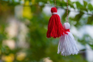 Traditional Martisor on green tree branch - symbol of 1 March, Martenitsa, Baba Marta, beginning of spring and seasons changing in Romania, Bulgaria, Moldova. Greeting and post card for holidays.