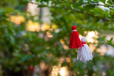 Traditional Martisor on green tree branch - symbol of 1 March, Martenitsa, Baba Marta, beginning of spring and seasons changing in Romania, Bulgaria, Moldova. Greeting and post card for holidays. clipart
