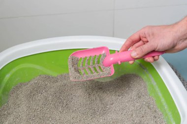 Kedi Bakımı Rutini: kedi sahibi, kedi kumu kutusunu kepçeleyerek temizliyor..