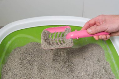 Kedi Bakımı Rutini: kedi sahibi, kedi kumu kutusunu kepçeleyerek temizliyor..