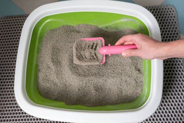 Kedi Bakımı Rutini: kedi sahibi, kedi kumu kutusunu kepçeleyerek temizliyor..