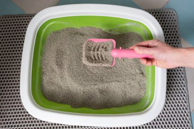 Kedi Bakımı Rutini: kedi sahibi, kedi kumu kutusunu kepçeleyerek temizliyor..