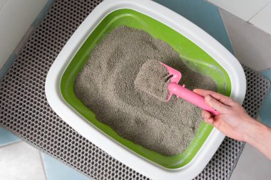 Kedi Bakımı Rutini: kedi sahibi, kedi kumu kutusunu kepçeleyerek temizliyor..