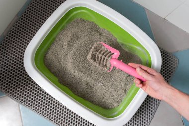 Kedi Bakımı Rutini: kedi sahibi, kedi kumu kutusunu kepçeleyerek temizliyor..