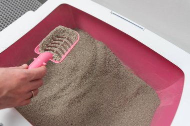 Kedi Bakımı Rutini: kedi sahibi kedi kumu kutusunu kepçeleyerek temizler. 