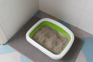 Kedi Bakımı Rutini: kedi sahibi kedi kumu kutusunu temizliyor ve torbadan yeni emici tanecikleri ekliyor.