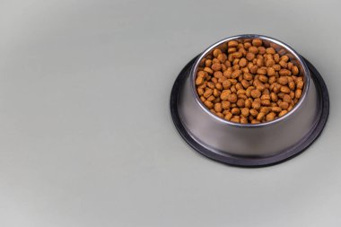 Metal kasedeki kahverengi kedi ya da köpek maması üst görüntüyü izole etti. Besleyici, sağlıklı, evcil hayvan mamaları etrafa saçılmış, düşmüş ve kaseyi şelaleye çevirmiş. Kuru kedi veya köpek maması bir kaseden dökülür..