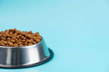 Metal kasedeki kahverengi kedi ya da köpek maması üst görüntüyü izole etti. Besleyici, sağlıklı, evcil hayvan mamaları etrafa saçılmış, düşmüş ve kaseyi şelaleye çevirmiş. Kuru kedi veya köpek maması bir kaseden dökülür..