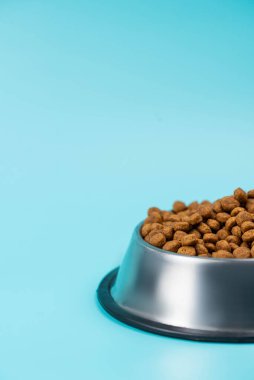 Metal kasedeki kahverengi kedi ya da köpek maması üst görüntüyü izole etti. Besleyici, sağlıklı, evcil hayvan mamaları etrafa saçılmış, düşmüş ve kaseyi şelaleye çevirmiş. Kuru kedi veya köpek maması bir kaseden dökülür..