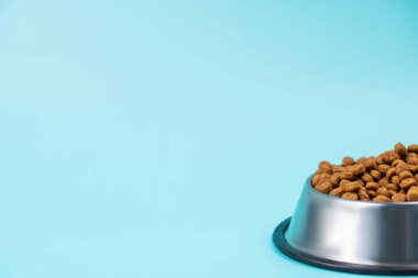 Metal kasedeki kahverengi kedi ya da köpek maması üst görüntüyü izole etti. Besleyici, sağlıklı, evcil hayvan mamaları etrafa saçılmış, düşmüş ve kaseyi şelaleye çevirmiş. Kuru kedi veya köpek maması bir kaseden dökülür..