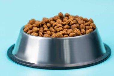 Metal kasedeki kahverengi kedi ya da köpek maması üst görüntüyü izole etti. Besleyici, sağlıklı, evcil hayvan mamaları etrafa saçılmış, düşmüş ve kaseyi şelaleye çevirmiş. Kuru kedi veya köpek maması bir kaseden dökülür..