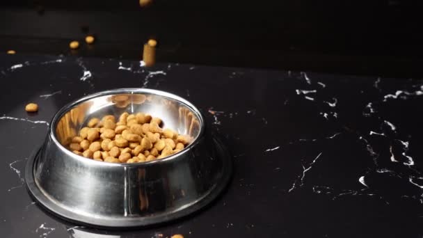 Kucing Cokelat Atau Anjing Kibble Dalam Mangkuk Logam Terisolasi Top — Stok Video