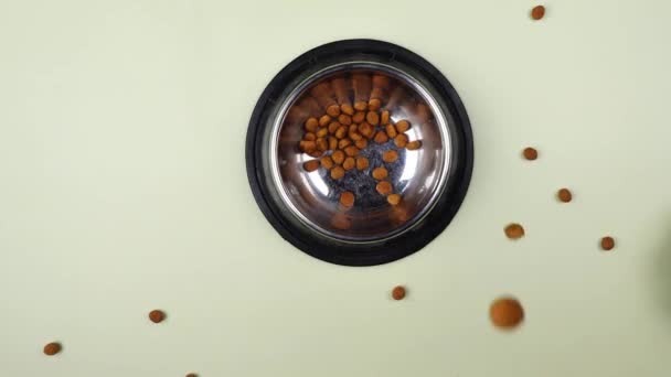 Brown Cat Dog Kibble Metal Bowl Isolated Top View Close — Stock Video