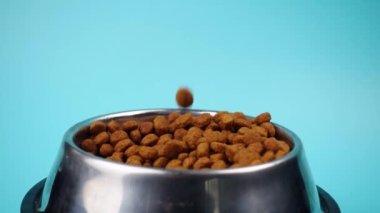 Metal kasedeki kahverengi kedi ya da köpek maması üst görüntüyü izole etti. Besleyici, sağlıklı, evcil hayvan mamaları etrafa saçılmış, düşmüş ve kaseyi şelaleye çevirmiş. Kuru kedi veya köpek maması bir kaseden dökülür.. 