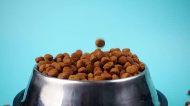 Metal kasedeki kahverengi kedi ya da köpek maması üst görüntüyü izole etti. Besleyici, sağlıklı, evcil hayvan mamaları etrafa saçılmış, düşmüş ve kaseyi şelaleye çevirmiş. Kuru kedi veya köpek maması bir kaseden dökülür.. 