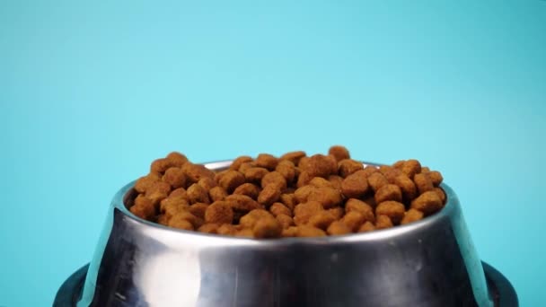 棕色的猫或狗在一个金属碗中狼吞虎咽孤立的顶部视图特写 有营养的健康饮食宠物食品四处散落 落在碗上 干猫或狗食从碗里溢出 — 图库视频影像