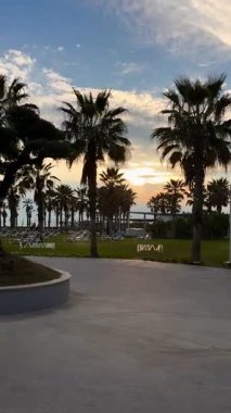 Palmiyeli gün batımı gökyüzü. Yüksek kaliteli HD görüntüler