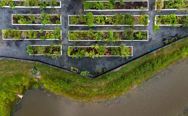 Drone Hava Fotoğrafı Modern Peyzaj Açık Hava Sebze Bahçesine Bakıyor