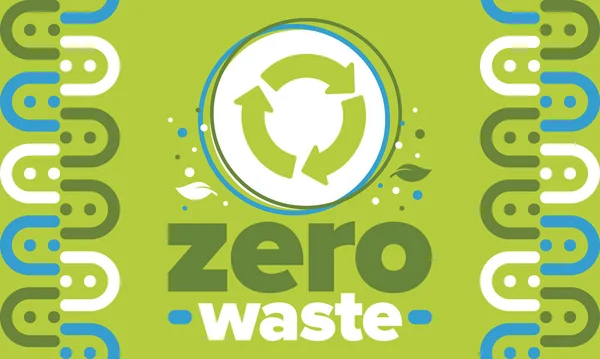 廃棄物ゼロ 生態系ポスター 拒否と削減 再利用とリサイクル 環境のための緑の1月 環境に優しいライフスタイル 地球を救え プラスチックは使わないエコバッグだけ ベクターイラスト — ストックベクタ