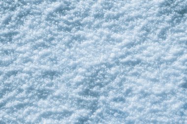 Texture of snow in sunny weather. Snow cover with snow crystals
