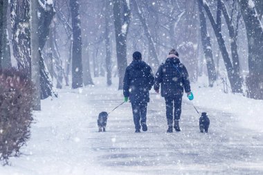 Bir adam ve bir kadın kış mevsiminde köpekleriyle parkta yürürler.